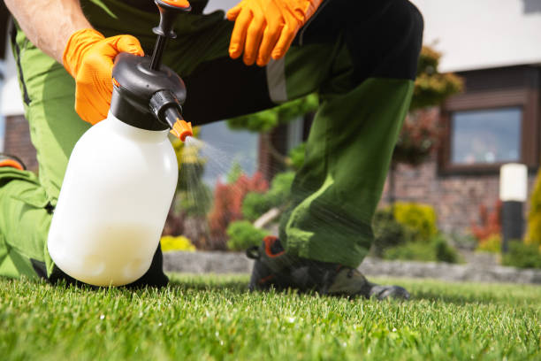 Best Termite Control Services  in Moody Af, GA
