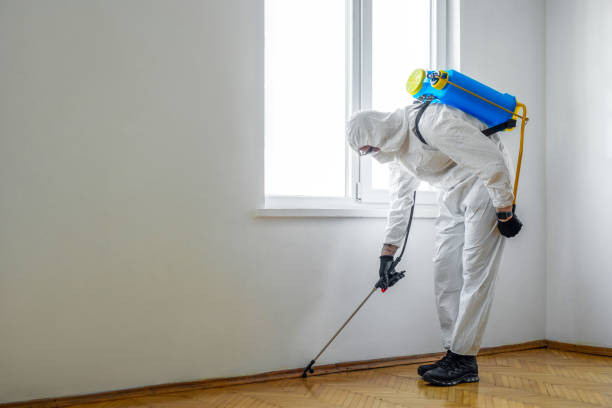 Best Emergency Pest Control  in Moody Af, GA