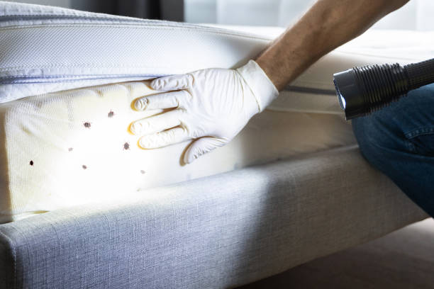 Best Pest Inspection Near Me  in Moody Af, GA