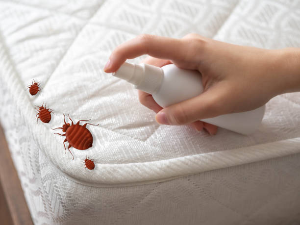 Best Commercial Pest Control Services  in Moody Af, GA