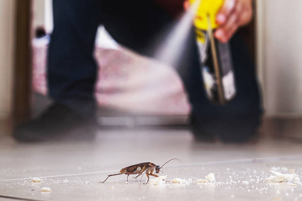 Moody Af, GA Pest Control Company
