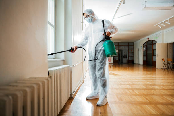 Best Local Pest Control Services  in Moody Af, GA