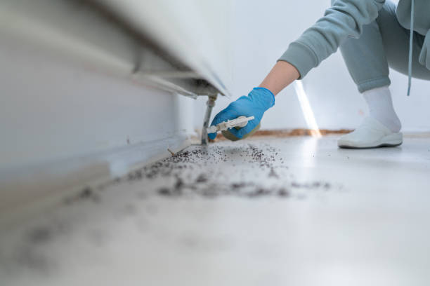 Best Wildlife Control Services  in Moody Af, GA