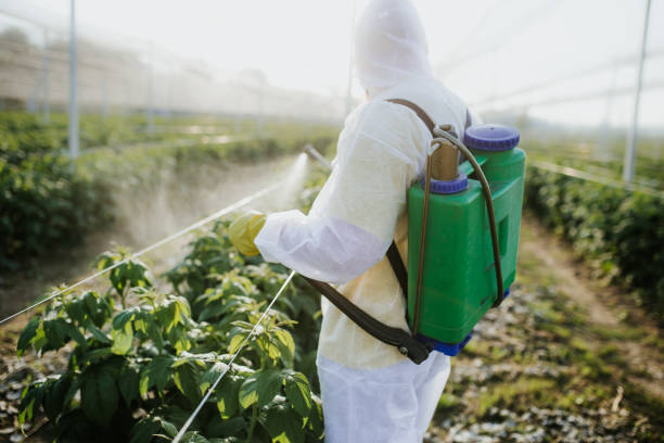 Best Bed Bug Extermination  in Moody Af, GA